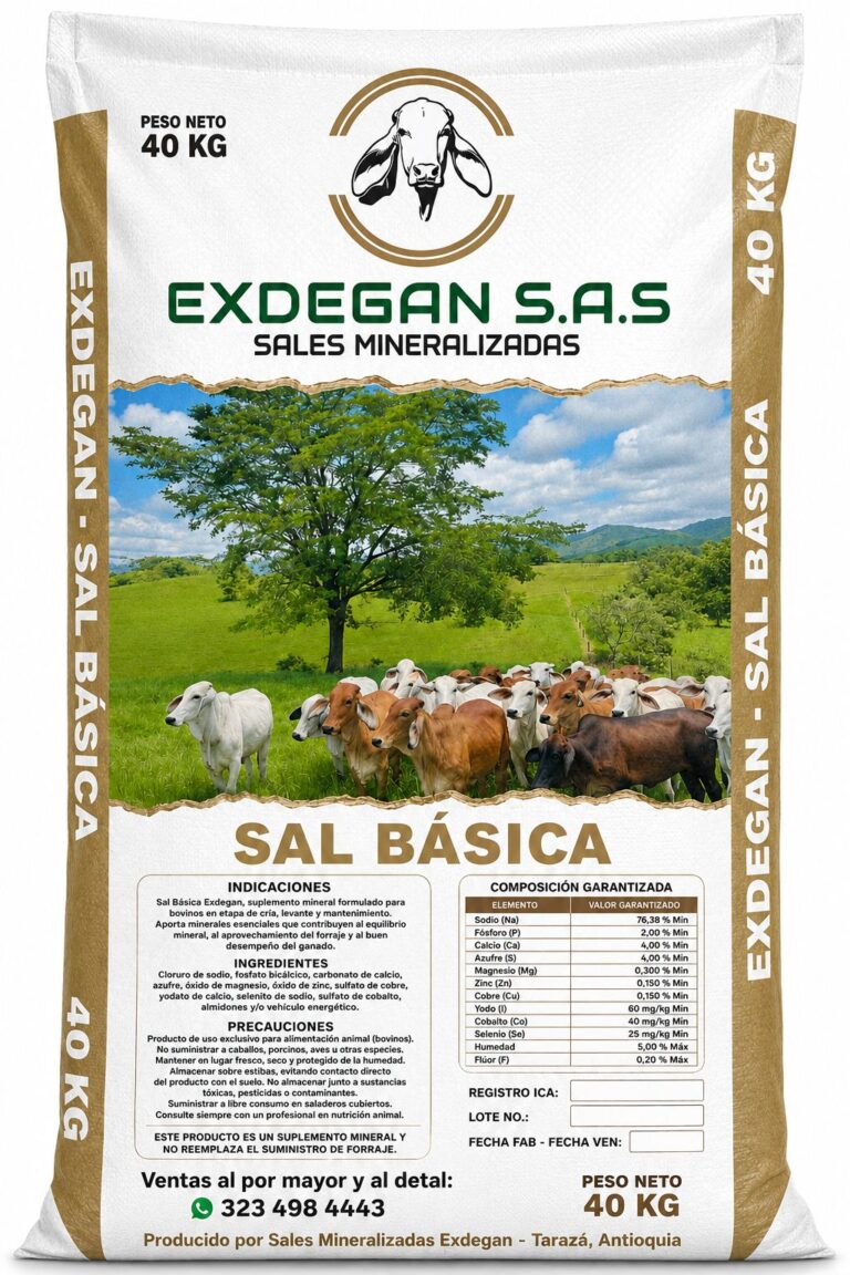 Sal Básica Exdegan