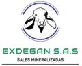 Exdegan SAS