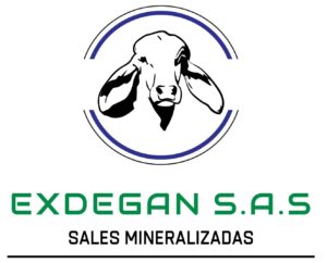Exdegan SAS